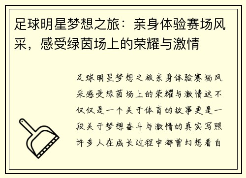 足球明星梦想之旅：亲身体验赛场风采，感受绿茵场上的荣耀与激情