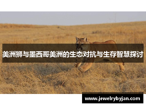 美洲狮与墨西哥美洲的生态对抗与生存智慧探讨